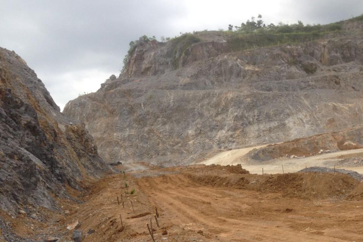 Semen Padang tanami areal bekas tambang dengan pohon produktif