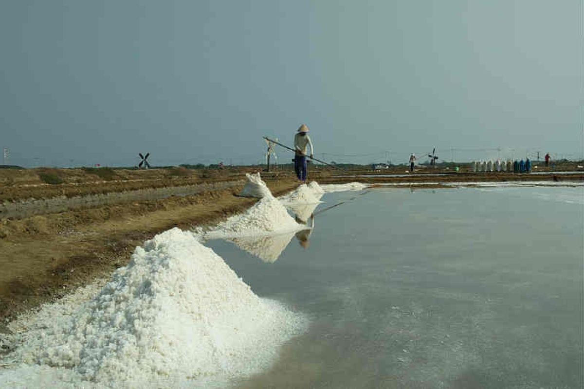 Garam petani Cirebon dihargai Rp300 per kilogram