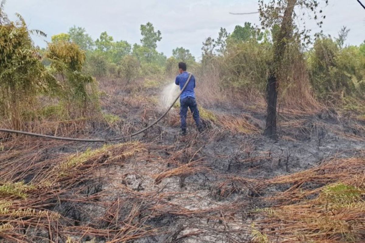 Kebakaran lahan di Sampit diduga disengaja