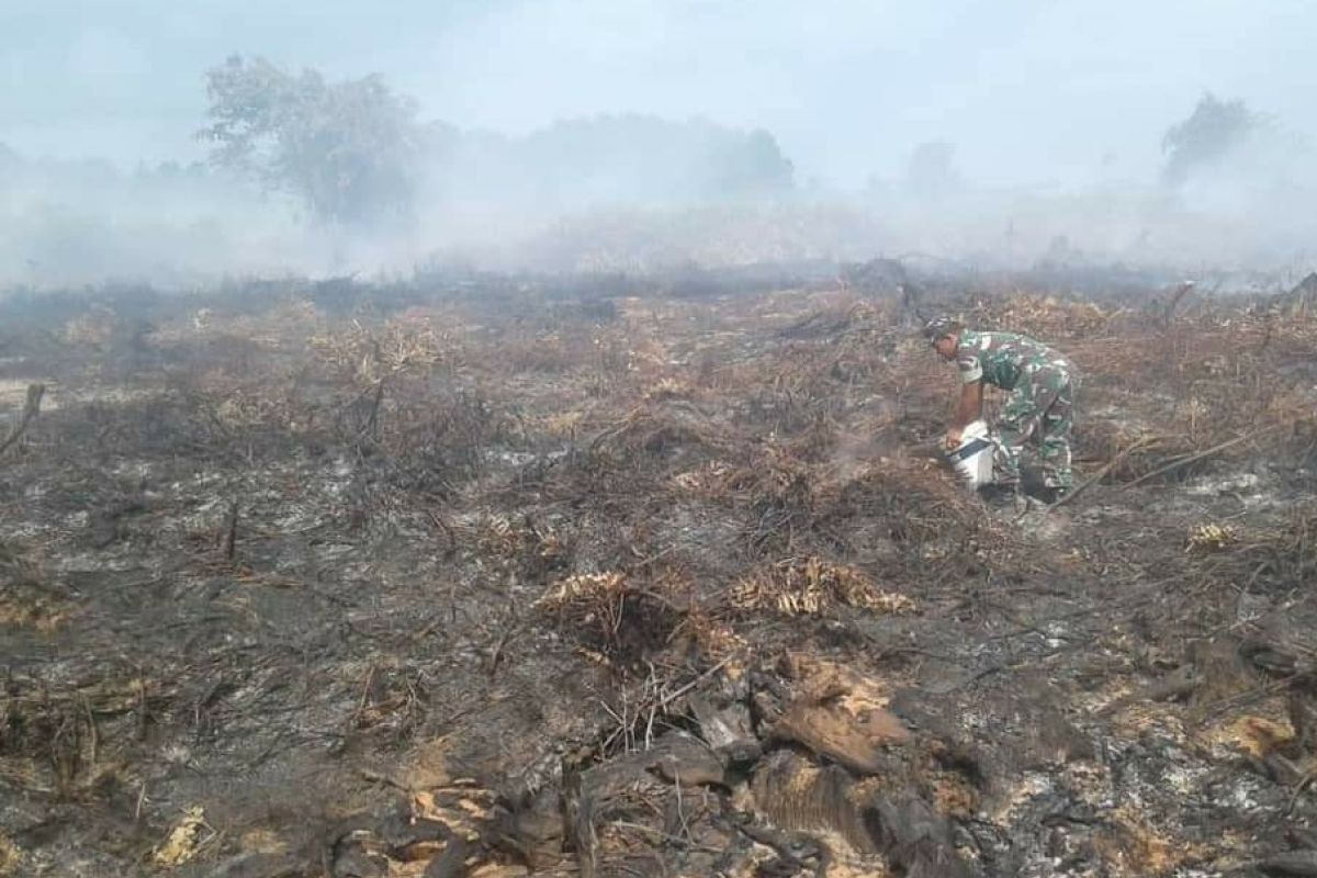 BMKG desak semua pihak cegah kebakaran hutan dan lahan di  Aceh