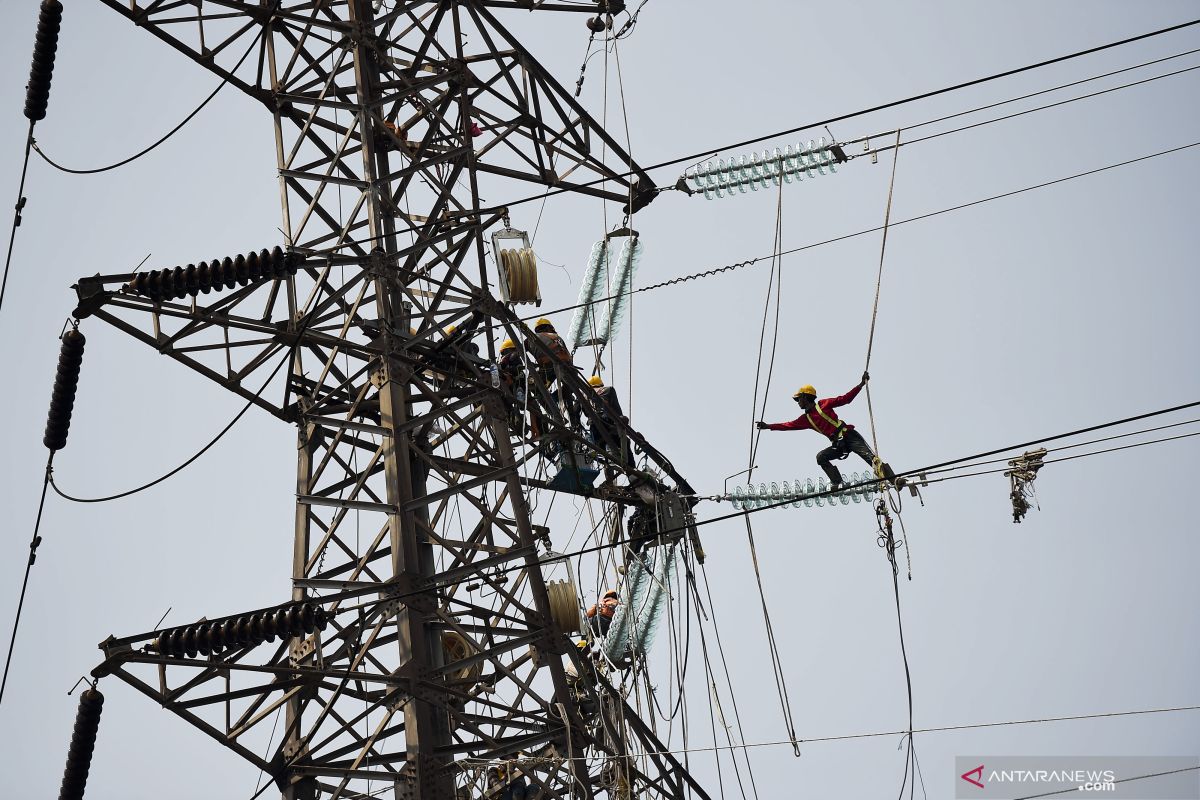 PLN bukukan kenaikan laba bersih 38,6 persen