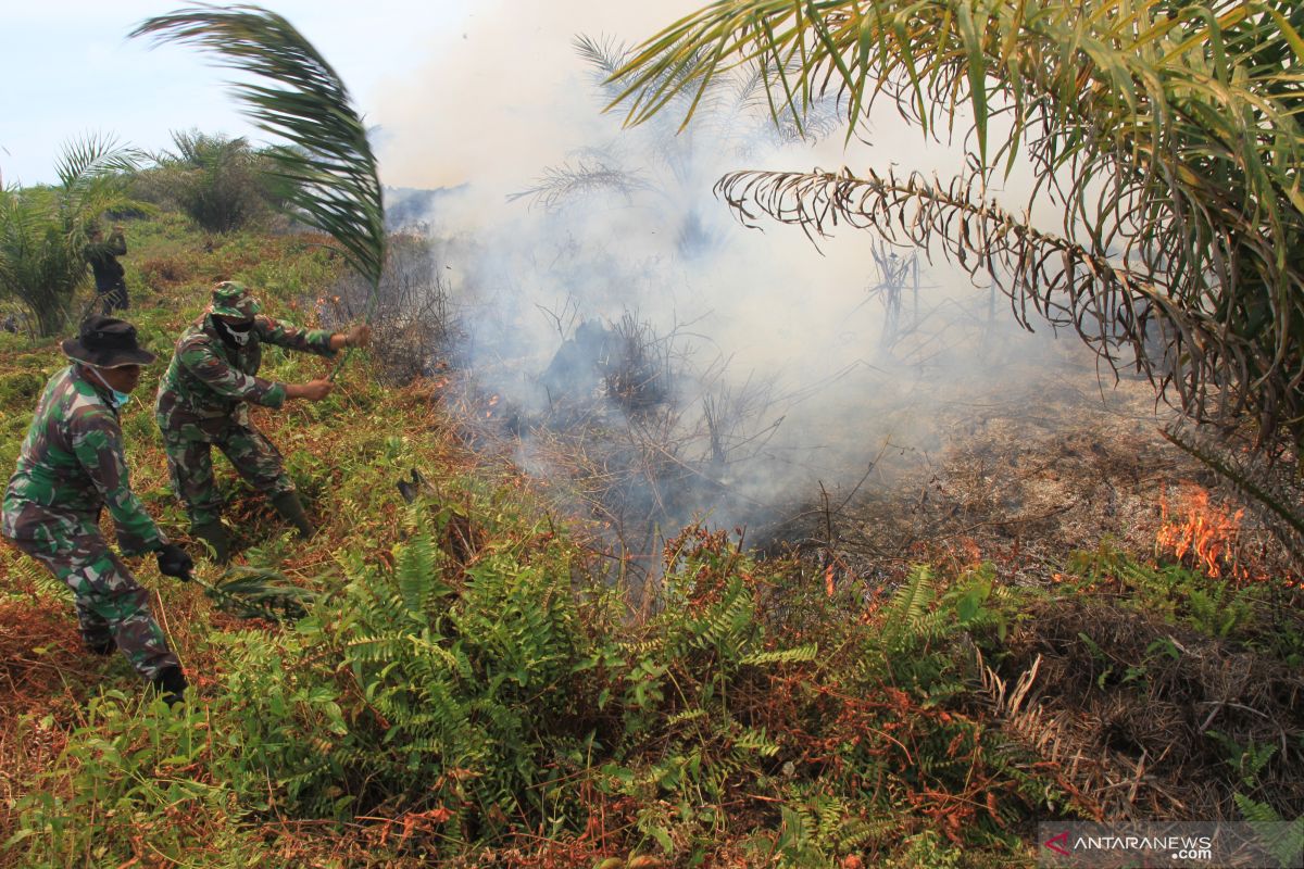 20 Hektare lahan kebakaran melanda di Nagan Raya Aceh