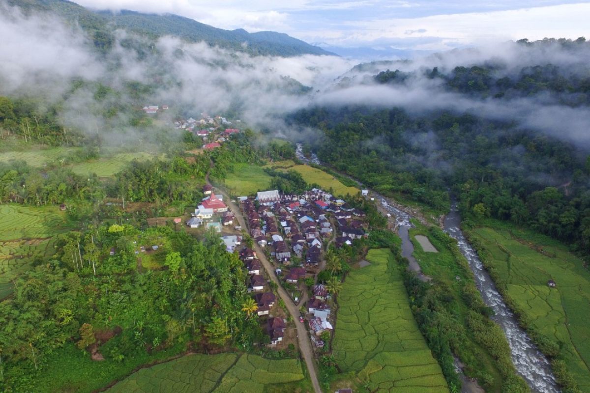 Hutan adat Rantau Kermas Kabupaten Merangin raih penghargaan Kalpataru