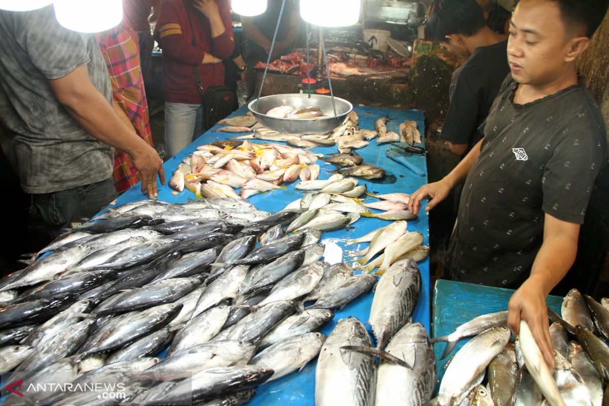 Mahalnya harga ikan di pasar tradisional Pontianak