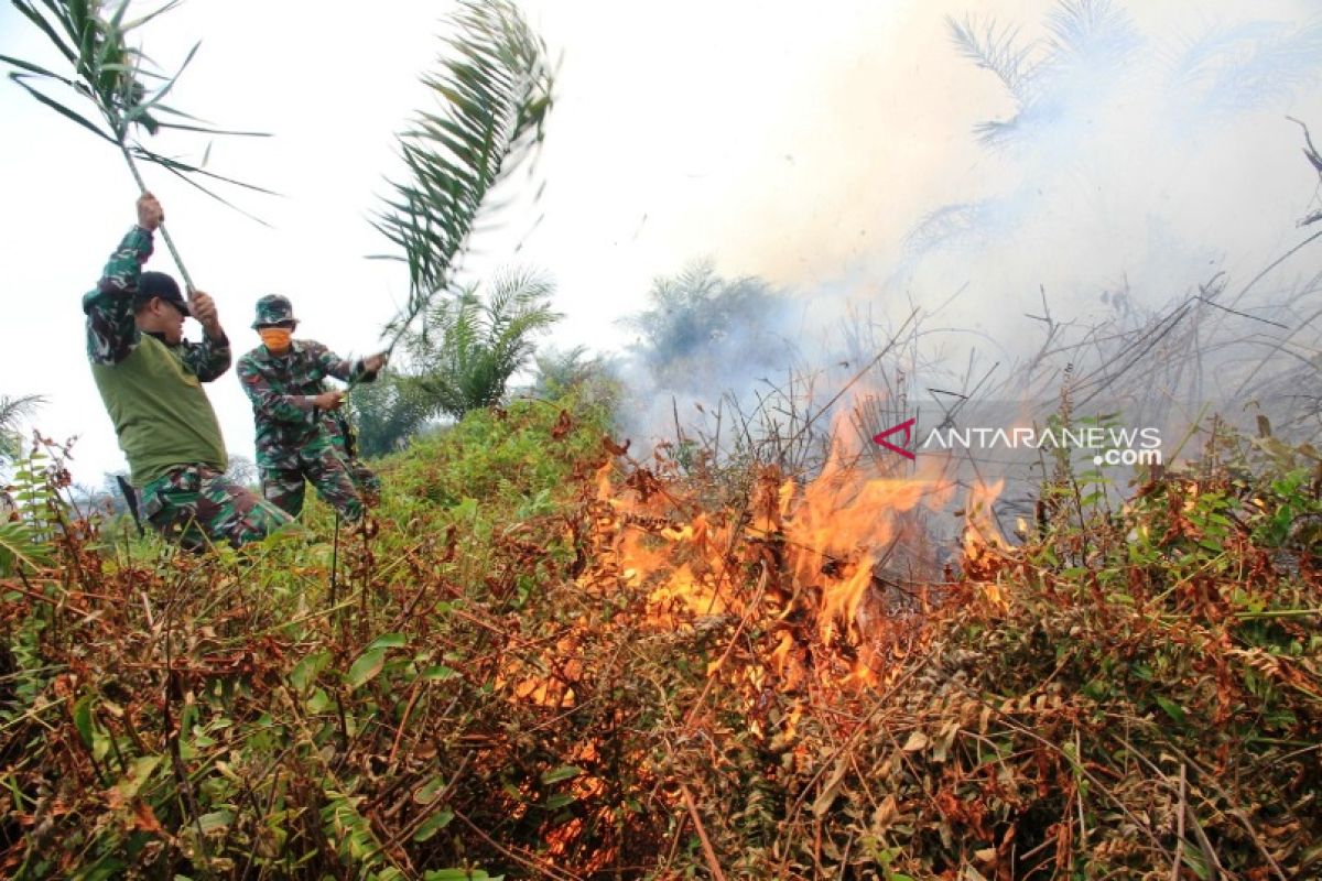 Kebakaran masih melanda 20 hektare lahan di Nagan Raya Aceh