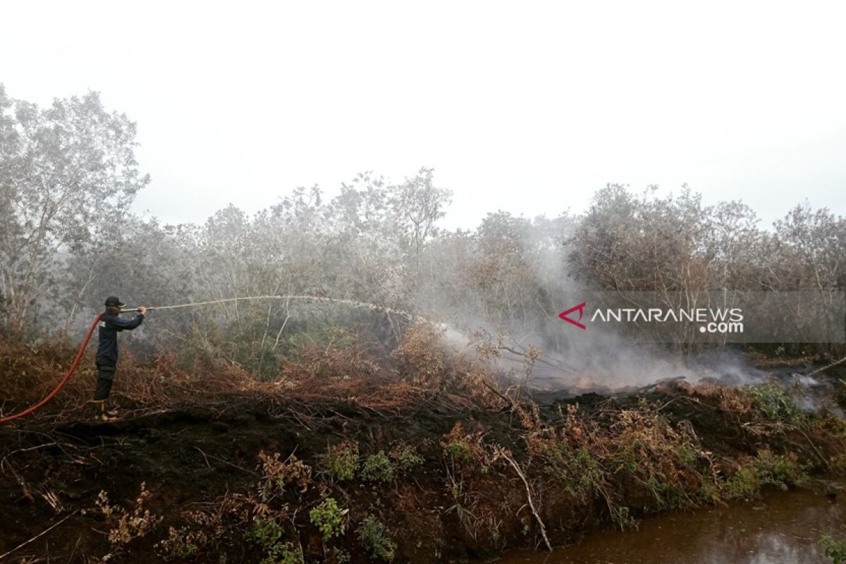 Kebakaran hanguskan empat hektare lahan di Penajam