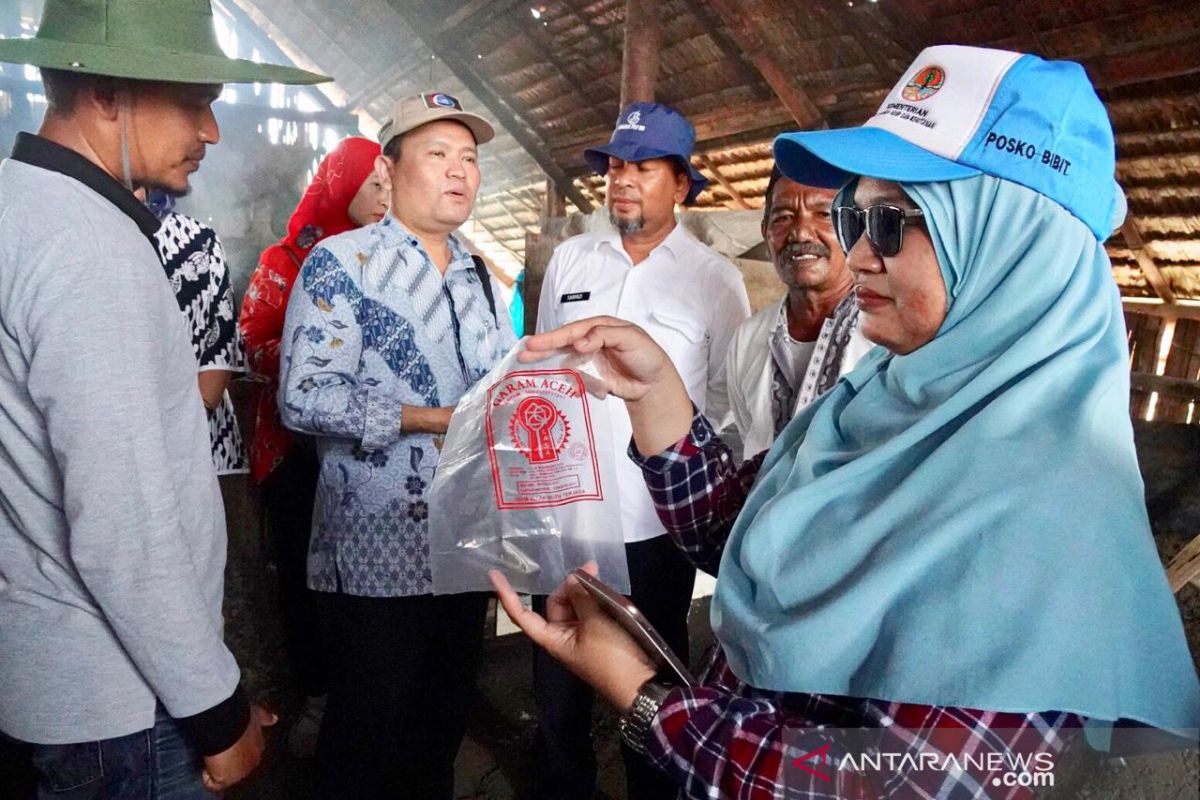 Kemenko Maritim tinjau produksi garam Aceh dengan sistem tunnel