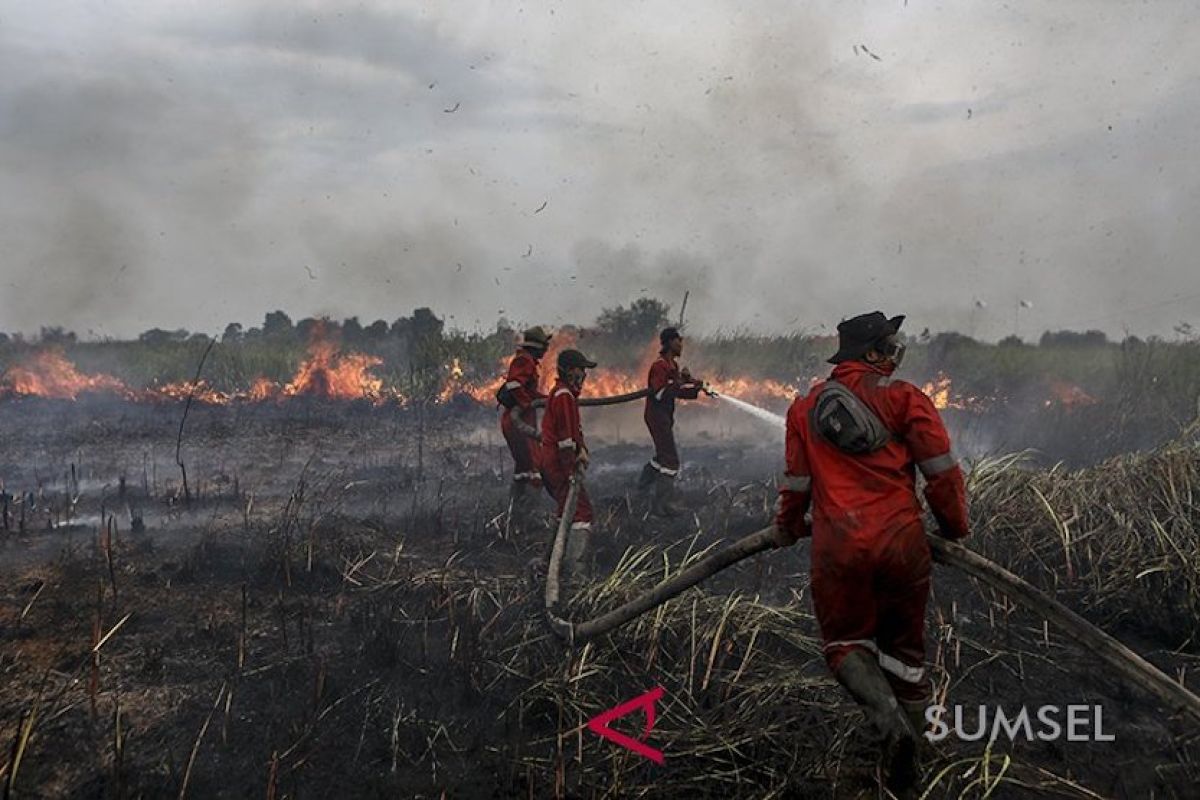 Tiga kabupaten ini paling rawan kebakaran hutan dan lahan di Sumsel