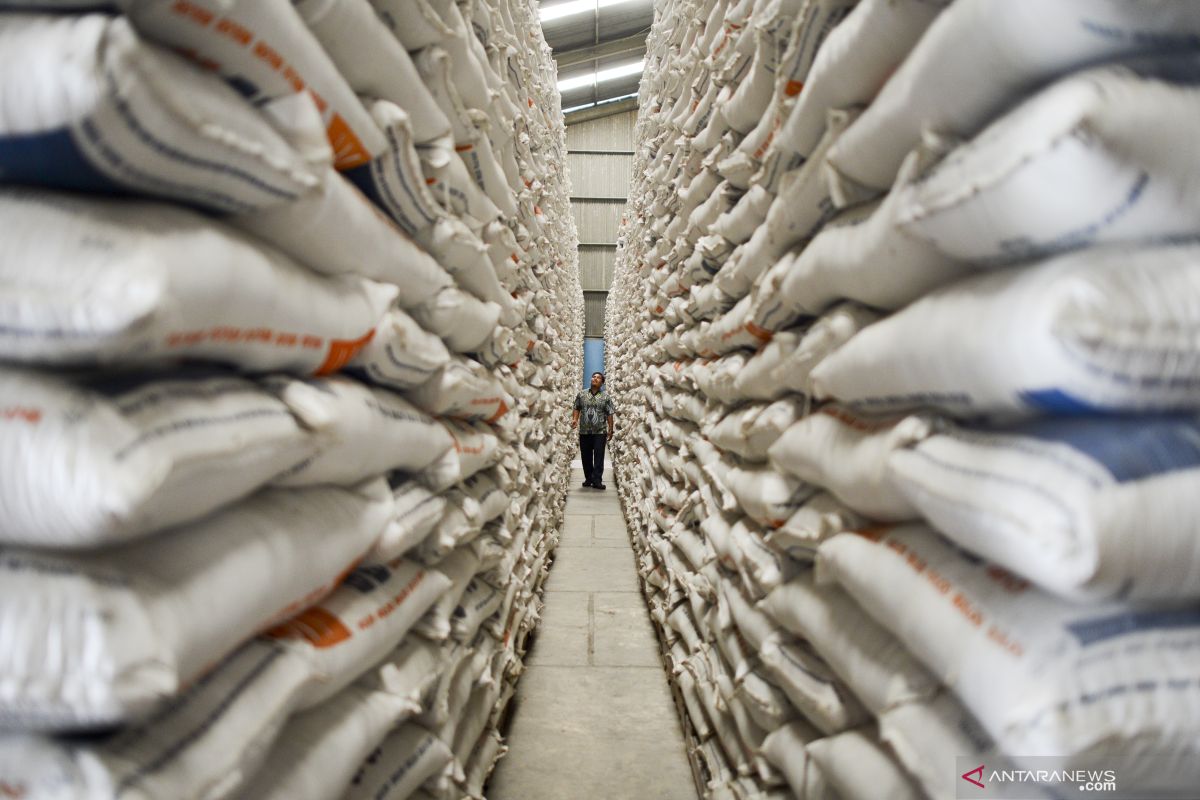 Bulog Riau jamin stok beras aman hingga delapan bulan ke depan