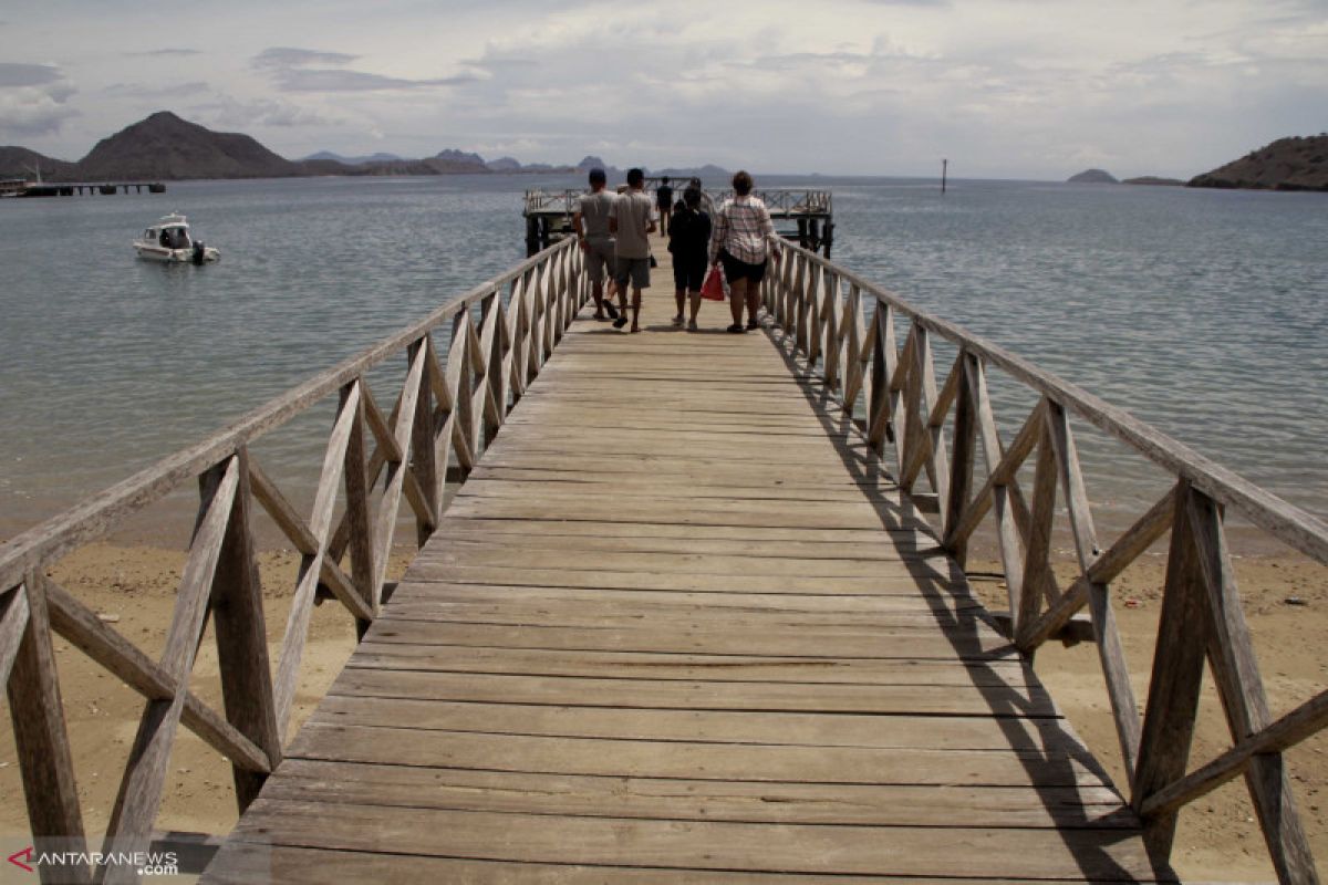 Penerapan sistem satu pintu di Taman Nasional Komodo mulai 2020