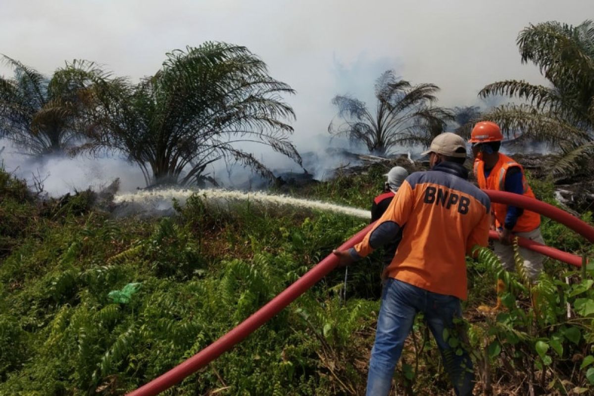 Kebakaran lahan  kembali terjadi di Aceh Besar