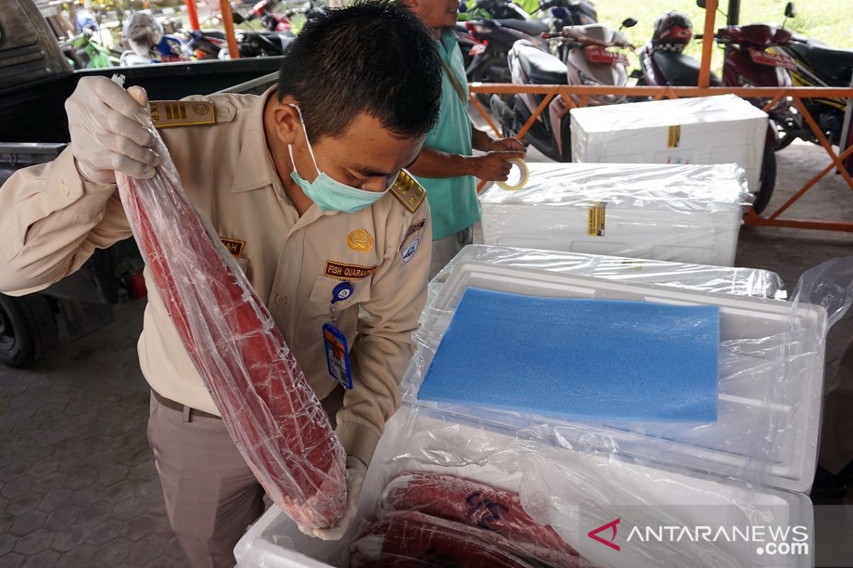 Ekspor tuna dari Gorontalo capai 65 ton