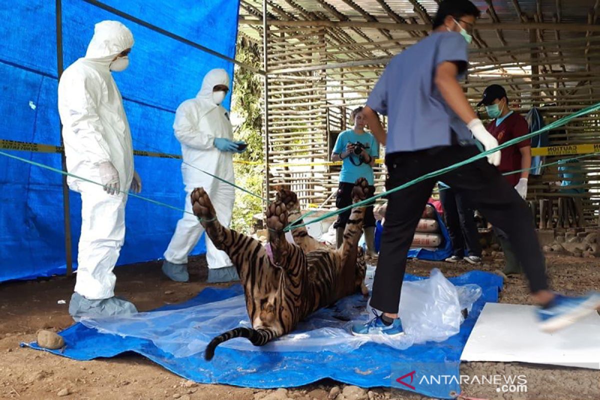 KLHK gencarkan operasi pembersihan jerat satwa dilindungi