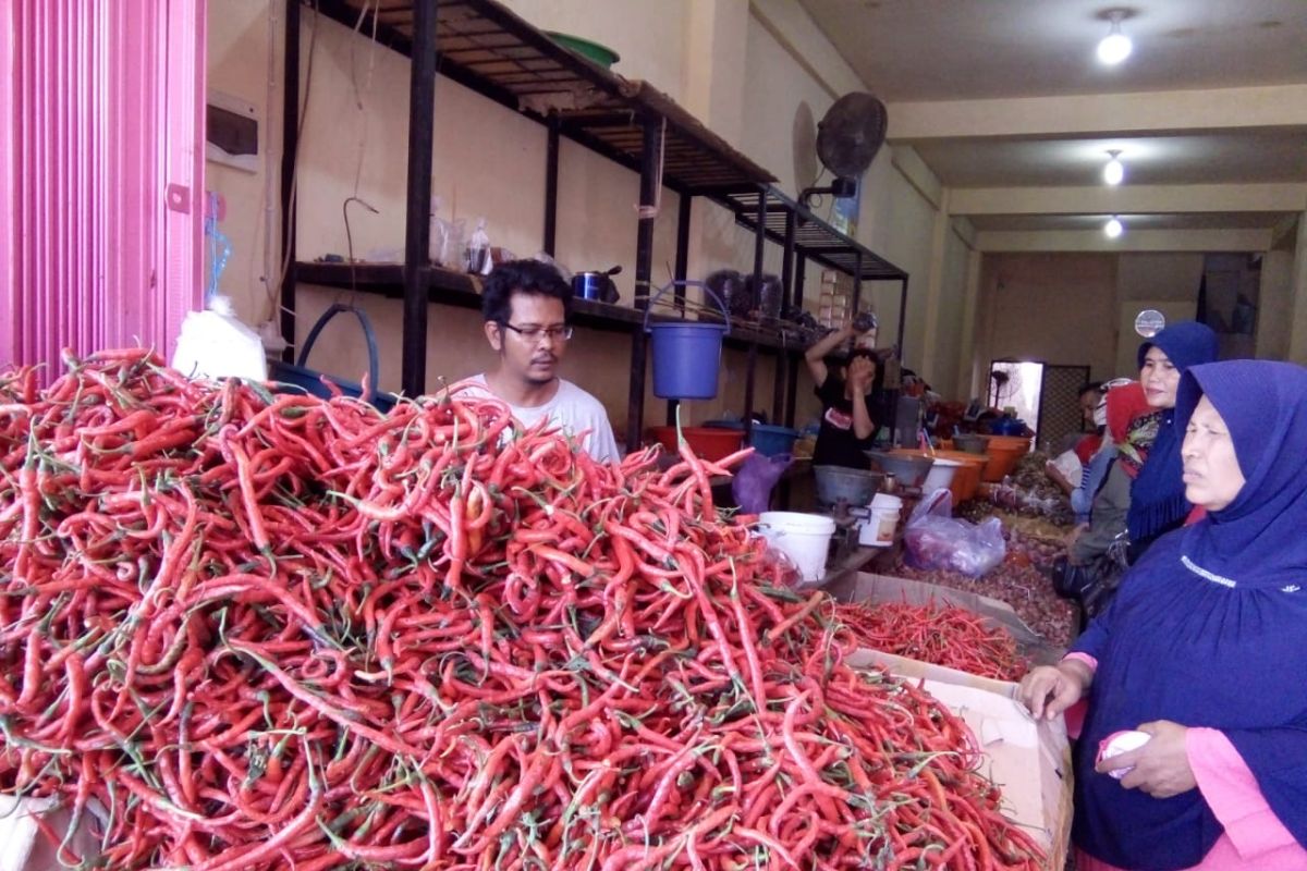 Harga cabai di Pasar Raya Padang makin tak terjangkau, tembus Rp70.000 perkilogram