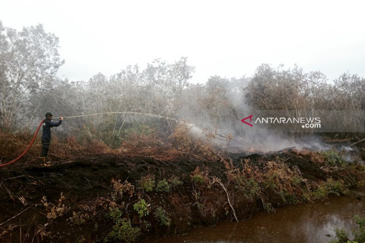 Kebakaran hutan di Aceh Barat mulai padam