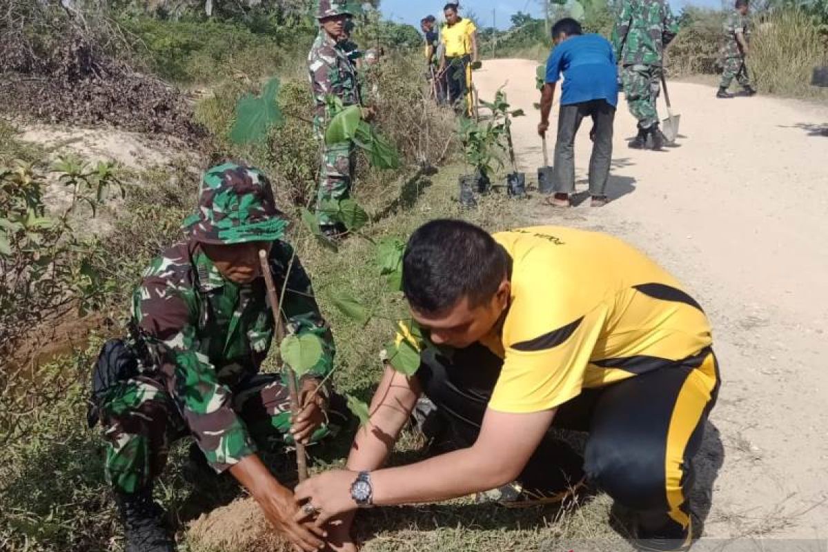 TNI dan Polri Aceh Jaya tanam 3.150 pohon untuk penghijauan