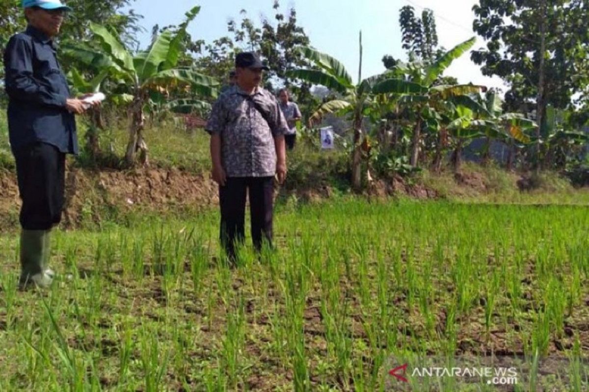 Kekeringan meluas di wilayah Kabupaten Banyumas, Jawa Tengah