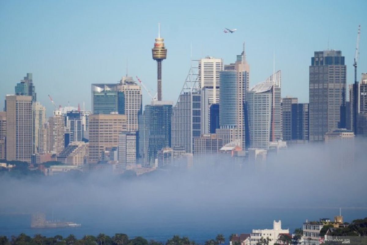 Dewan Kota Sydney sedang kaji penggunaan Roundup dalam penanganan rumput liar