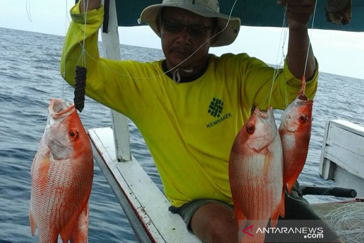 Hasil tangkapan nelayan Agam berkurang 50 persen