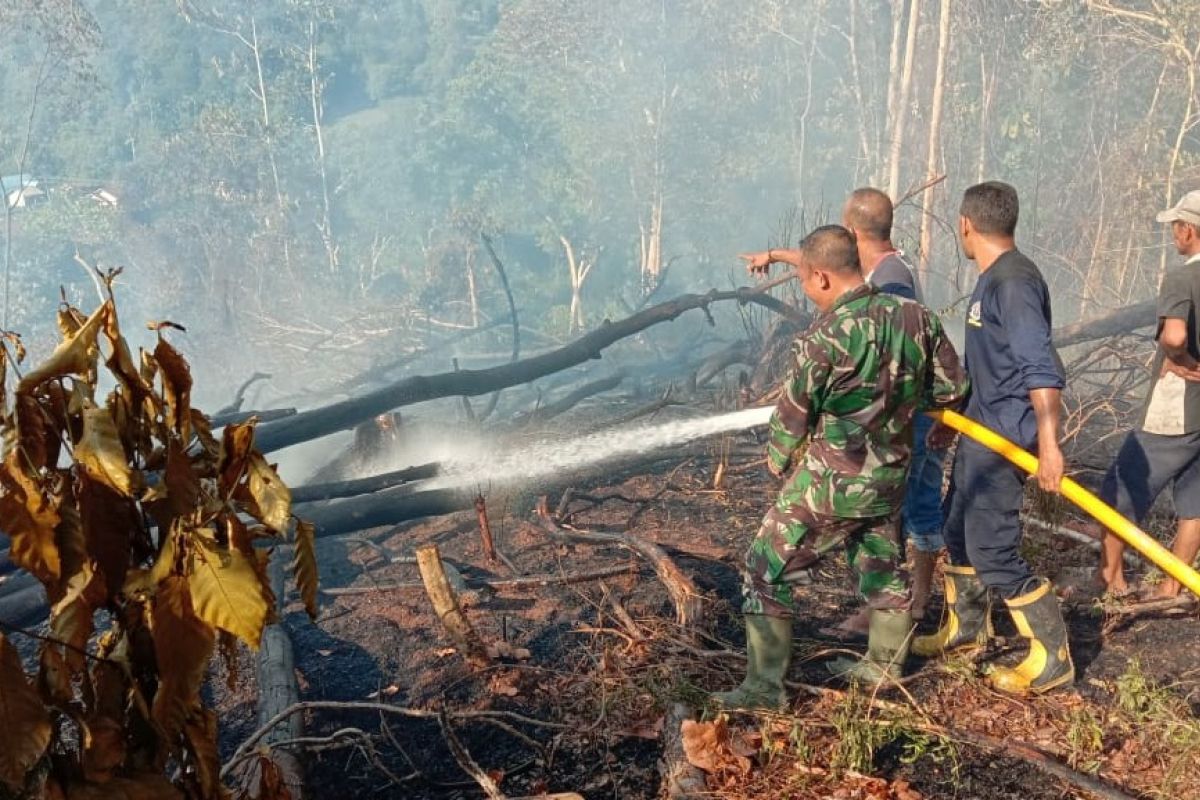 Kebakaran hutan di Aceh capai 60 hektare sepekan terakhir