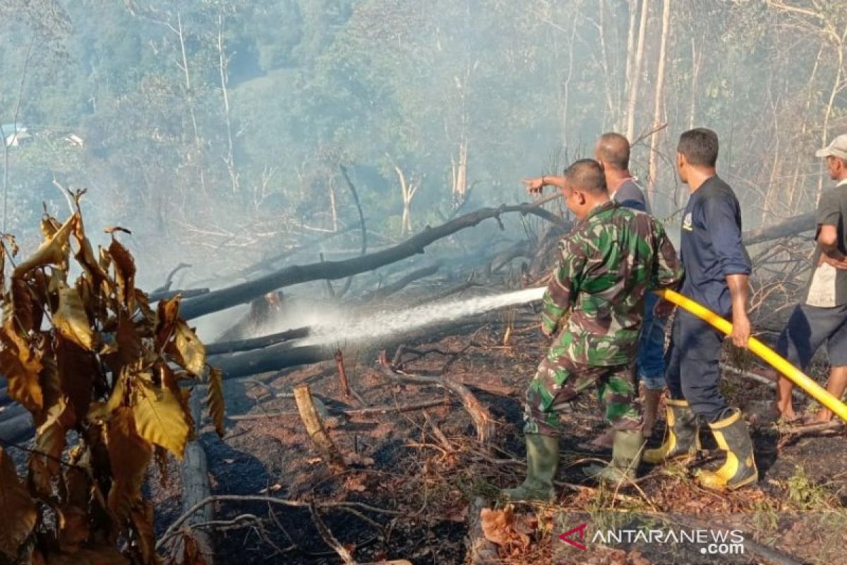 Kebakaran hutan di Aceh capai 60 ha sepekan terakhir