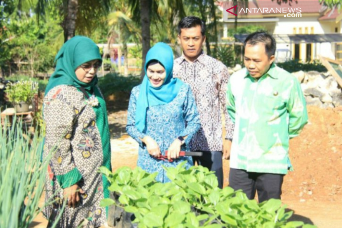 Tanah Bumbu prevents stunting through food house program