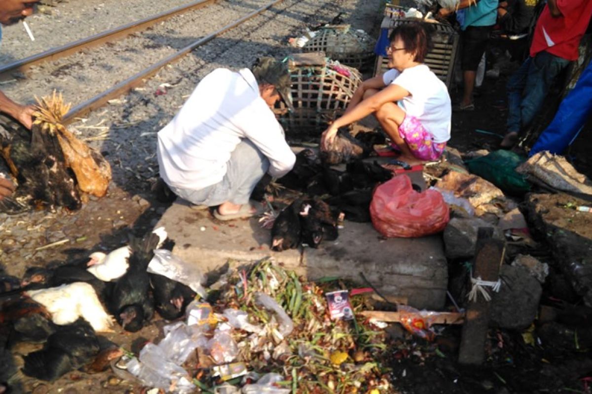 Pemkab Lebak dorong petani beternak unggas