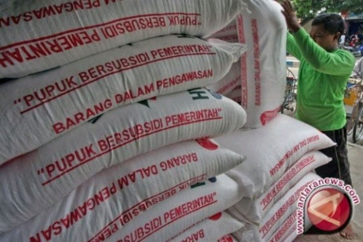 PD Tani Taput hentikan penyaluran pupuk subsidi bayar pascapanen