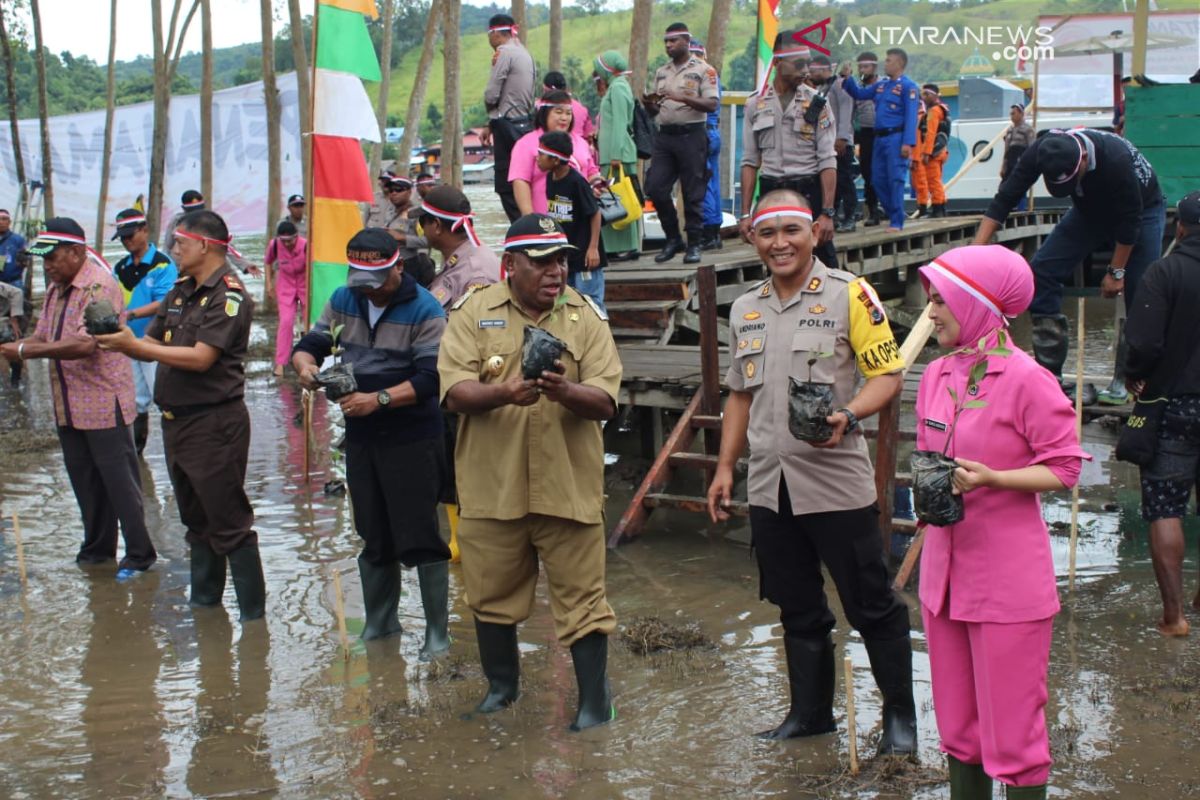 1.000 bibit mangrove ditanam di Pulau Masina Bintuni