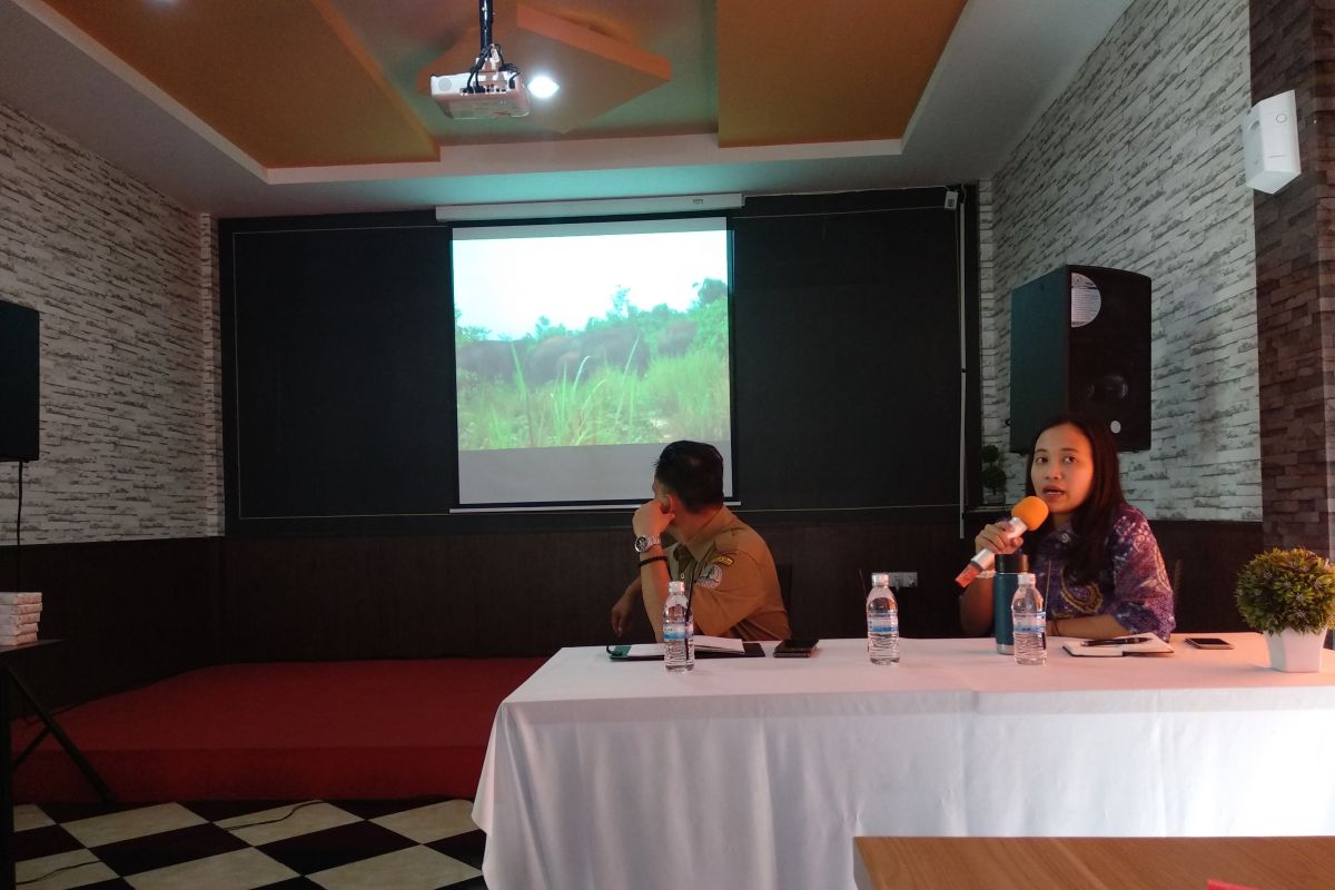 BKSDA Jambi kembangkan kawasan koridor gajah Taman Nasional Bukit Tigapuluh