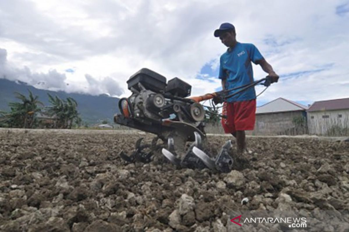 Lahan sawah di Palu terus merosot akibat alih fungsi