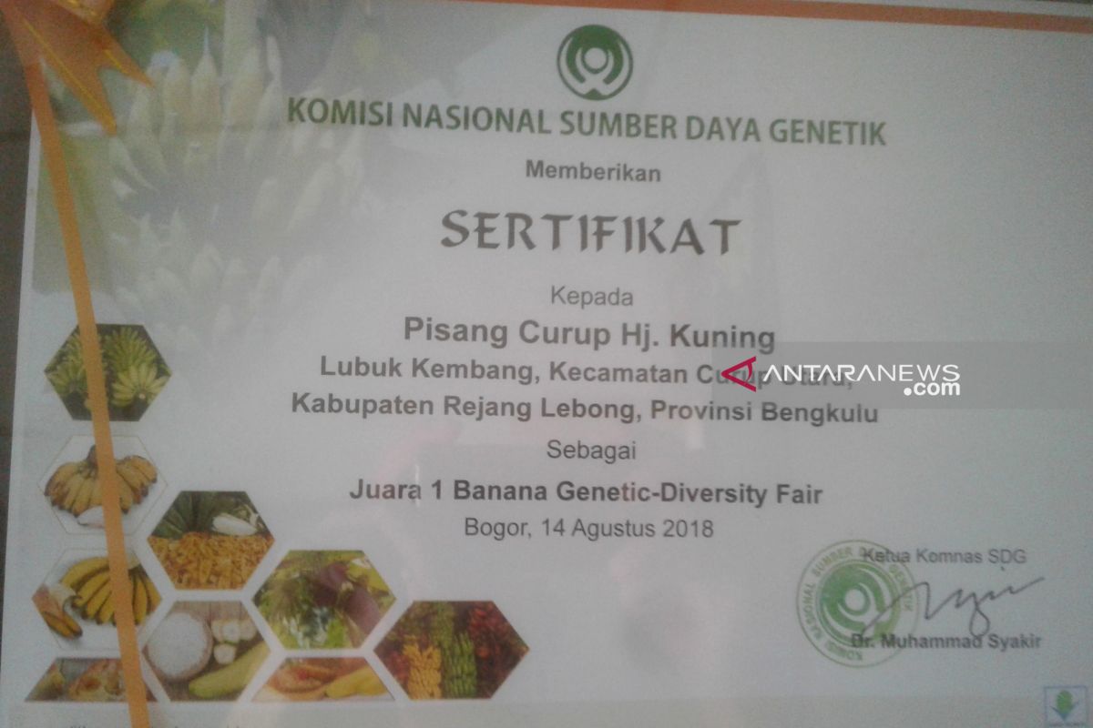 Rejang Lebong daftarkan varietas pertanian lokal