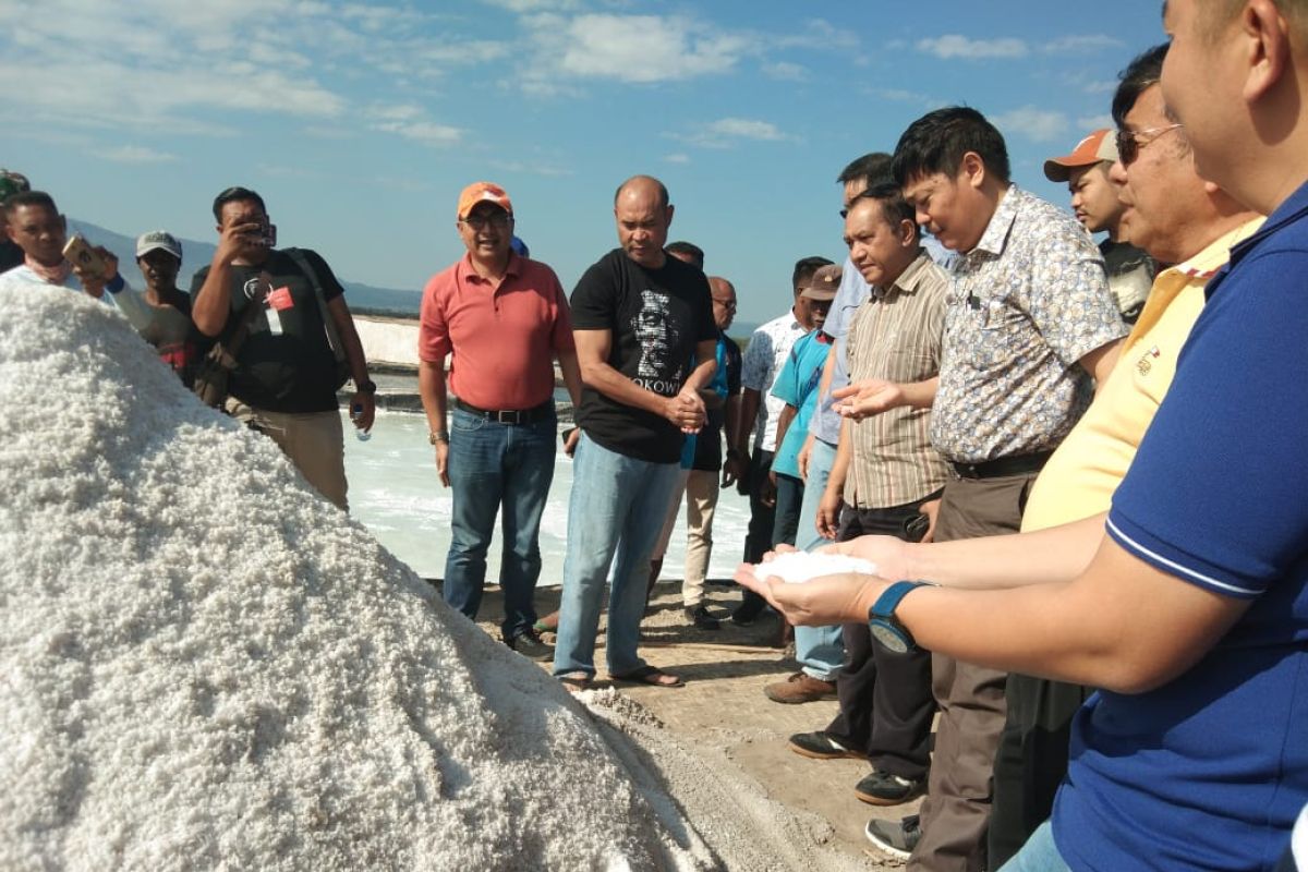 Gubernur NTT tinjau kesiapan panen garam di Nunkurus