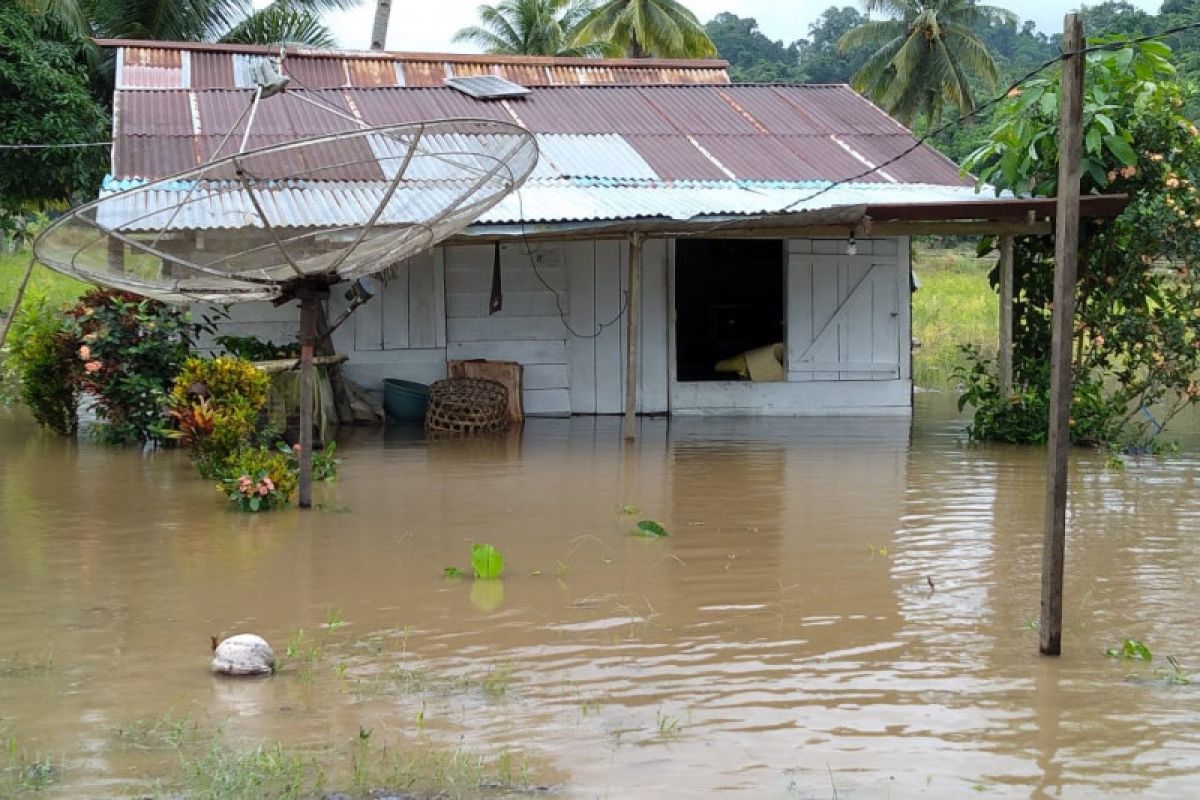 BNPB: 184 kepala keluarga terdampak banjir di Halmahera Tengah