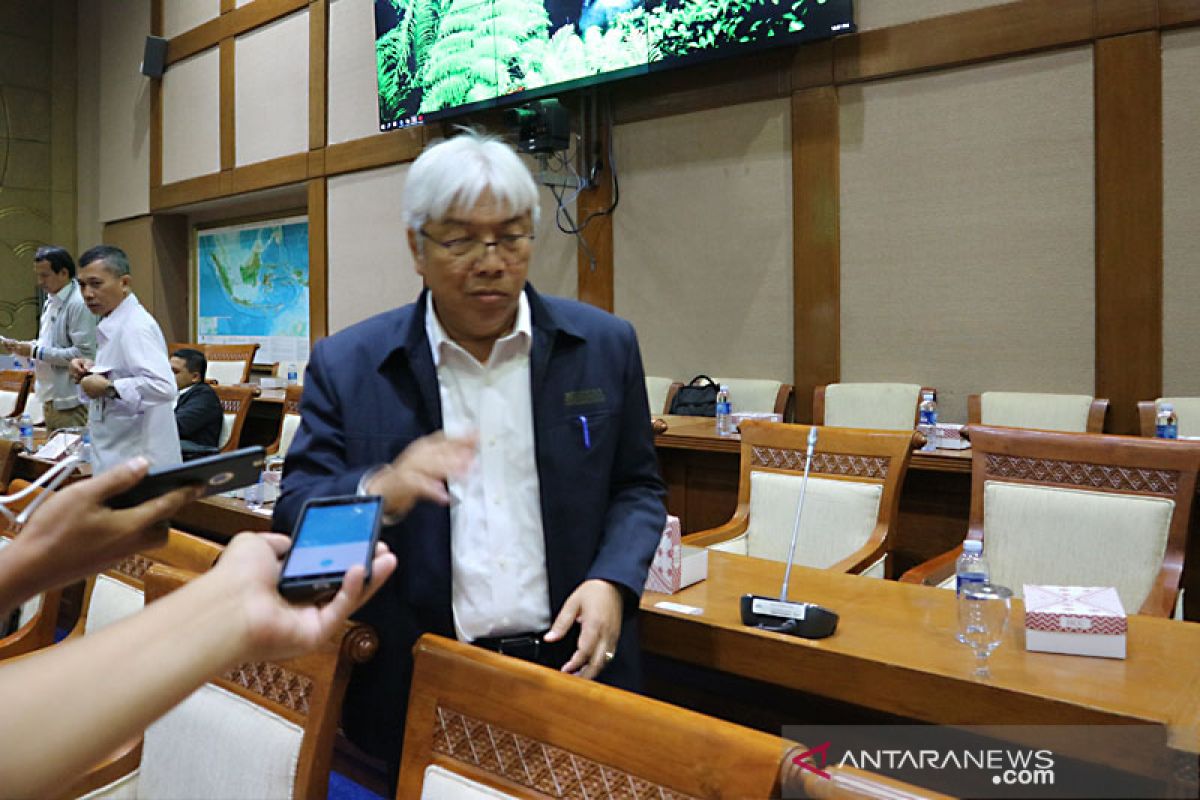 Kementerian ESDM lelang blok tambang nikel Suasua Konawe Utara