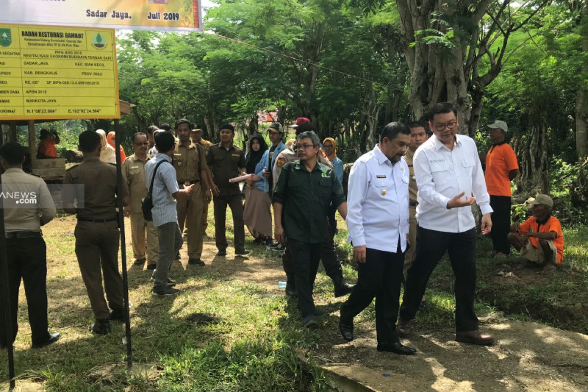 Pengembangan komoditi ramah gambut 100 persen tekan karhutla