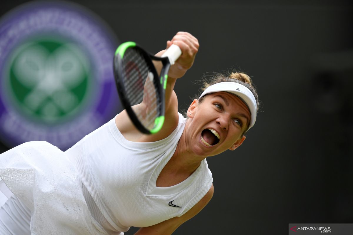 Petenis Halep lolos ke semifinal Wimbledon