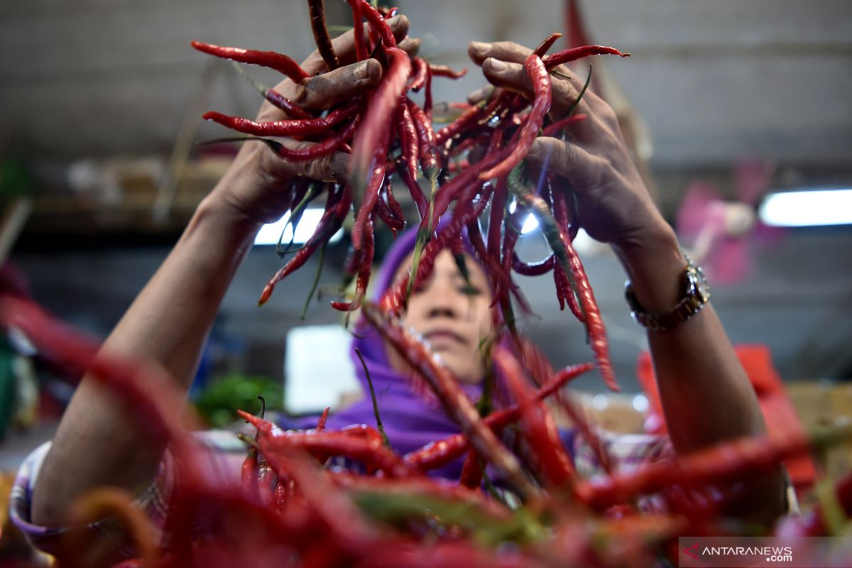 Disperindag: Kenaikan harga cabe merah masih wajar