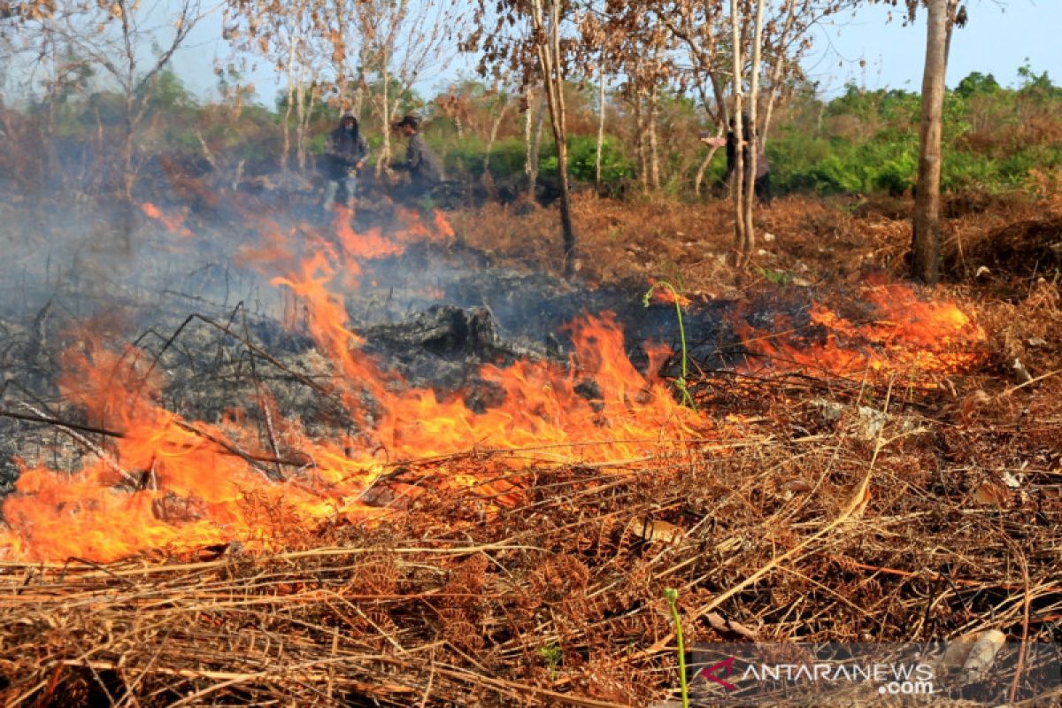 Sejumlah 112 Ha hutan dan lahan gambut kering hangus terbakar di  Aceh