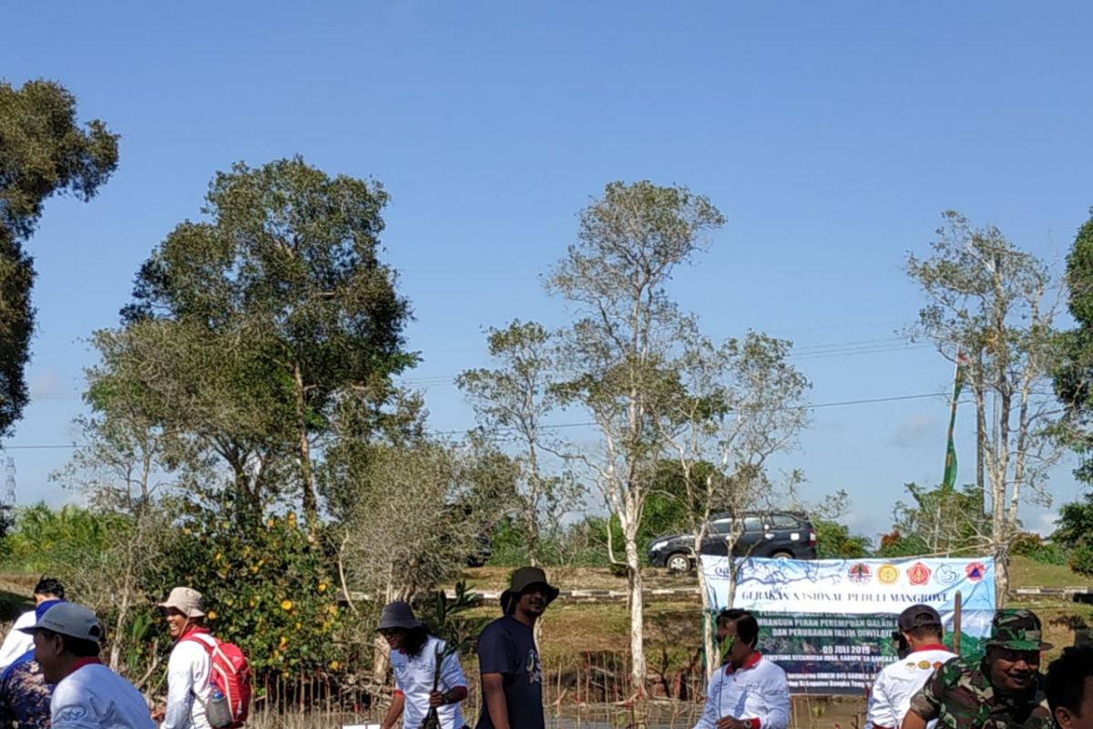 Pemkab Bangka Tengah targetkan tanam 100 ribu bibit mangrove