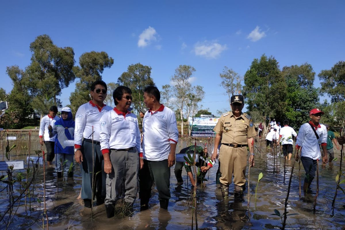 Pemkab Bangka Tengah akan bangun kawasan wisata hutan mangrove