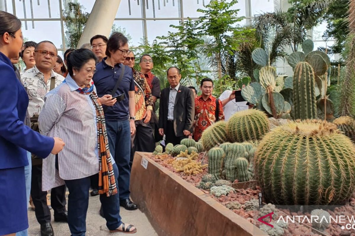 Megawati sempatkan kunjungi Beijing World Holticultural Expo 2019