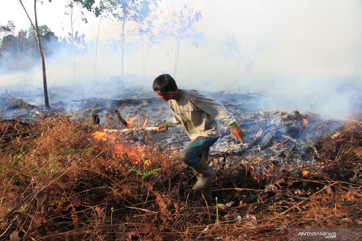 Pemprov Riau anggarkan pencegahan Karhutla di APBD 2020
