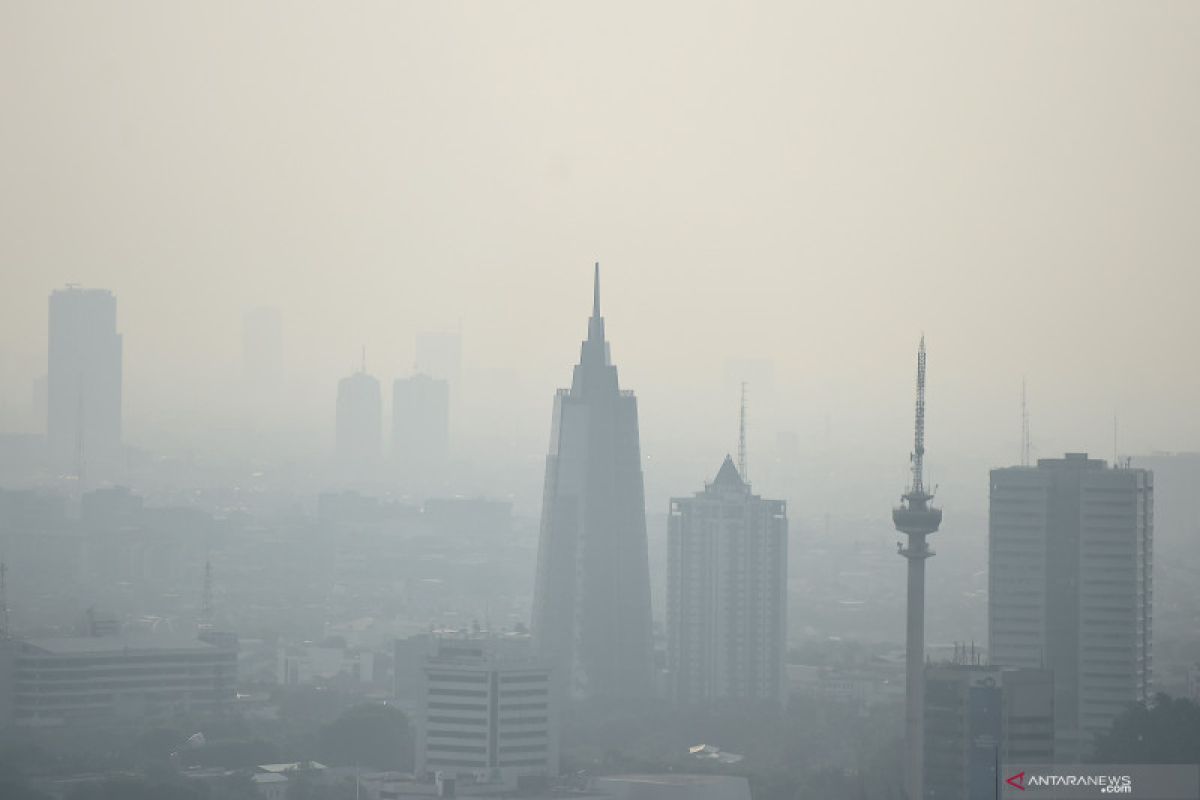 Greenpeace: lidah mertua bukan solusi tepat atasi polusi udara Jakarta