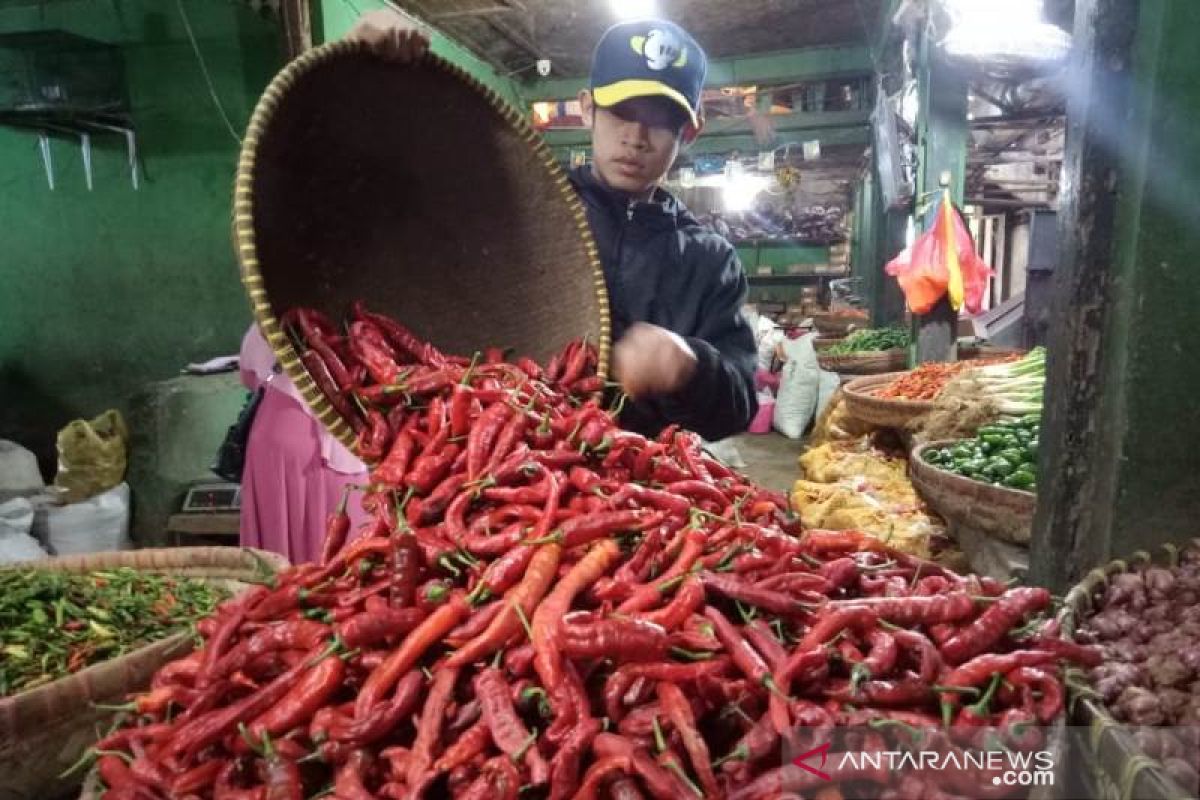 Di Padang turun, harga cabai di Solok justru mendekati Rp100 ribu per kilogram