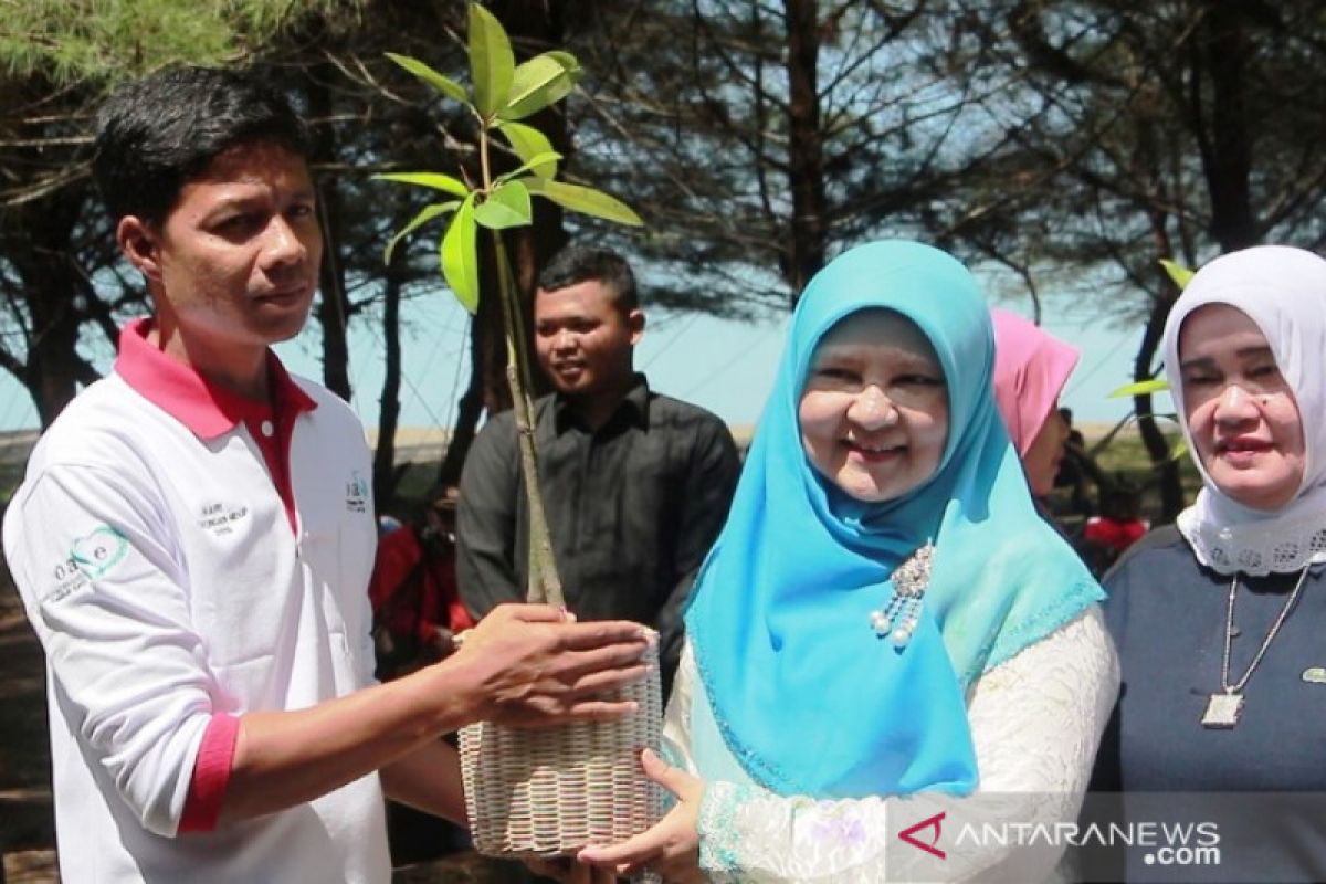 Peduli Pantai Tiram Padang Pariaman, OASE Kabinet Kerja tanam ribuan mangrove