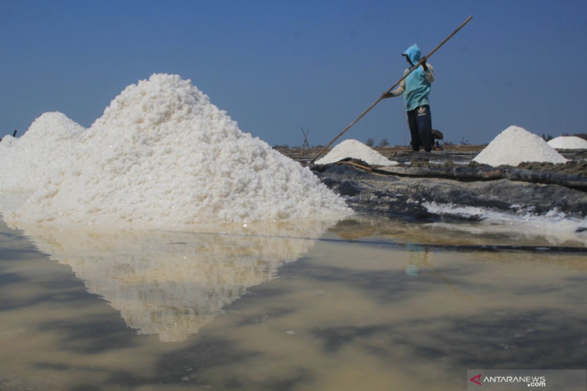 Kemenko Maritim usul garam dikategorikan kebutuhan pokok