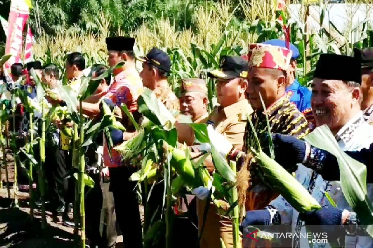 Petani Kotim didorong tingkatkan produksi jagung