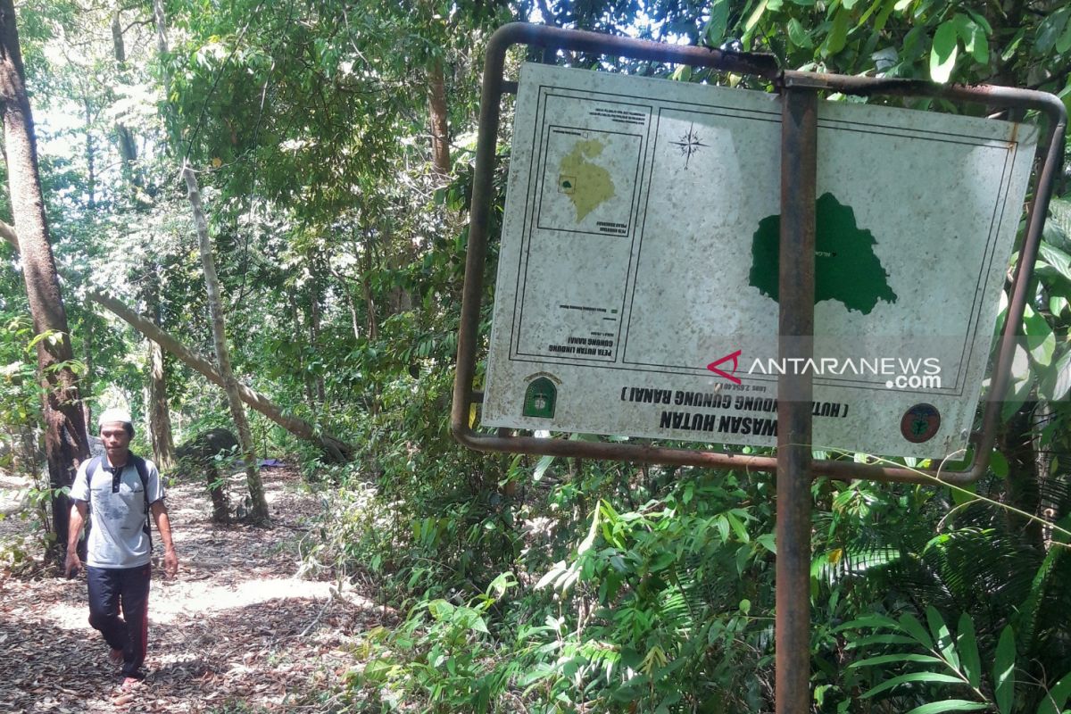 Pesona Gunung Ranai yang terbengkalai