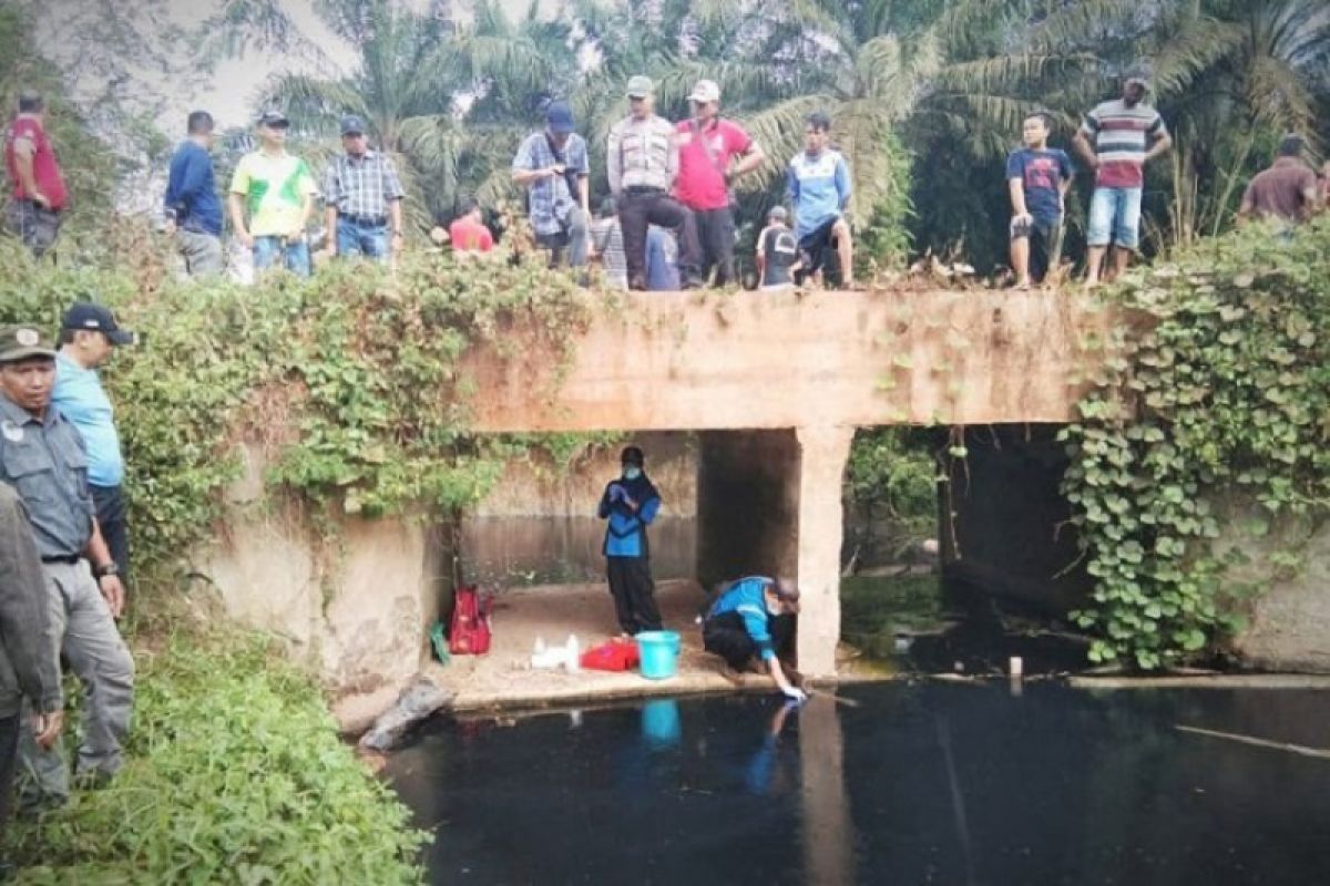 Polisi periksa perusahaan terkait dugaan pencemaran limbah di Sungai Sampit, Kotim